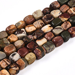 Natural Picasso Jasper/Polychrome Jasper Beads Strands&nbsp;G-N346-04A-05