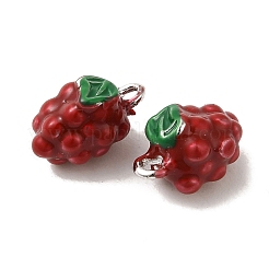Brass Enamel Charms&nbsp;KK-S368-02P-01