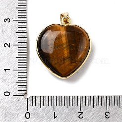 Natural Tiger Eye Pendants&nbsp;G-B149-10G-10