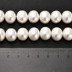Electroplated Shell Pearl Beads Strands&nbsp;BSHE-C009-03B