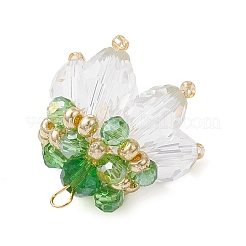 Transparent Glass Pendants&nbsp;PALLOY-MZ00720-04