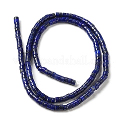 Natural Lapis Lazuli Dyed Beads Strands&nbsp;G-E612-A06