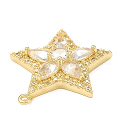 Brass Micro Pave Cubic Zirconia Charms&nbsp;KK-P228-44G