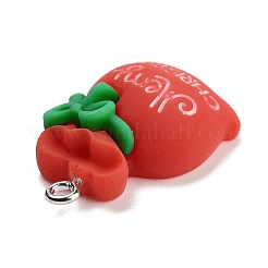 Christmas Theme Opaque Resin Pendants&nbsp;RESI-F054-B02