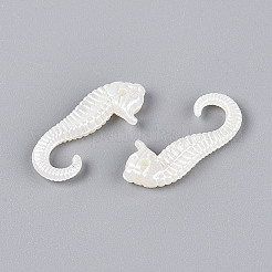 ABS Plastic Imitation Pearl Pendants&nbsp;OACR-T028-88