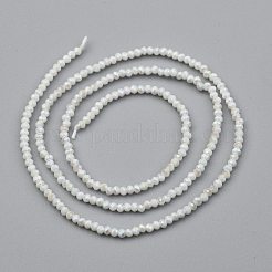 Electroplate Glass Beads Strands&nbsp;X-GLAA-F079-A-AB02