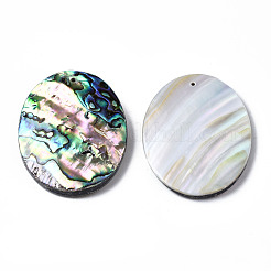 Natural Abalone Shell/Paua Shell Pendants&nbsp;SSHEL-N034-89