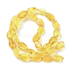Natural Amber Beads Strands&nbsp;G-L095-C01-02