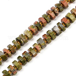 Natural Unakite Beads Strands&nbsp;G-F796-A07-01