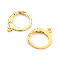 304 Stainless Steel Leverback Earring Findings&nbsp;STAS-D448-041G