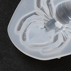 DIY Display Silicone Molds&nbsp;DIY-P074-07A