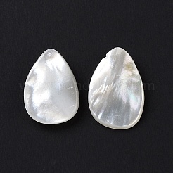 Natural White Shell Beads&nbsp;SSHEL-C011-06