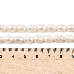 Natural Cultured Freshwater Pearl Beads Strands&nbsp;PEAR-I007-01C-06A