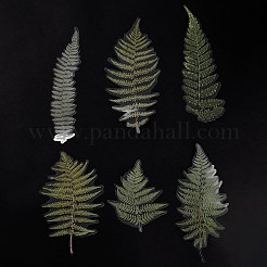 6Pcs Plant PET Adhesive Waterproof Stickers&nbsp;DIY-K074-01E