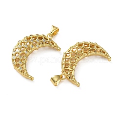 Brass Micro Pave Clear Cubic Zirconia Pendants&nbsp;KK-D221-19G-05