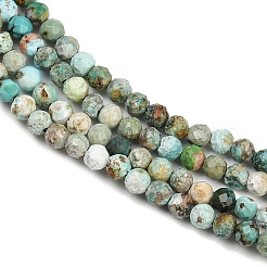 Natural HuBei Turquoise Beads Strands&nbsp;G-L628-B02-3mm-01