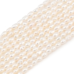 Natural Cultured Freshwater Pearl Beads Strands&nbsp;PEAR-F020-13