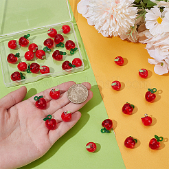 32Pcs 2 Styles Resin Pendants&nbsp;RESI-UN0001-08