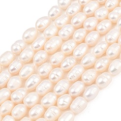 Natural Cultured Freshwater Pearl Beads Strands&nbsp;PEAR-D003-01D-07