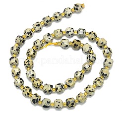 Natural Dalmatian Jasper Beads Strands&nbsp;G-I376-D85-01