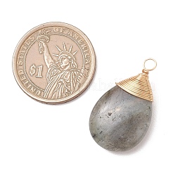 Natural Labradorite Pendants&nbsp;PALLOY-JF05086-02