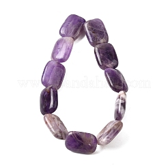 Natural Amethyst Beads Strands&nbsp;G-S386-A12