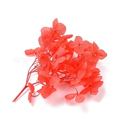 Dried Flowers&nbsp;DIY-D052-17