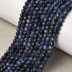 Natural Sodalite Bead Strands&nbsp;G-P279-58-3mm-01