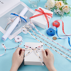 6 Rolls 6 Colors Polyester Ribbon&nbsp;OCOR-UN0001-12