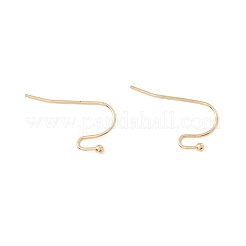 316 Surgical Stainless Steel Earring Hooks&nbsp;X-STAS-P307-07G