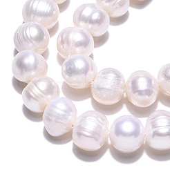 Natural Cultured Freshwater Pearl Beads Strands&nbsp;PEAR-N013-17N-01