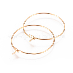 304 Stainless Steel Hoop Earrings Findings&nbsp;LS-STAS-I120-60B-G