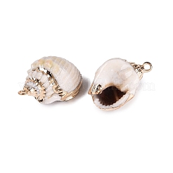 Electroplated Golden Brass Trim Natural Spiral Shell Pendants&nbsp;SSHEL-N042-29