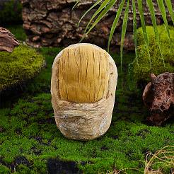 Resin Wild Man's Toe Sculpture Display Decorations&nbsp;DJEW-WH0053-73