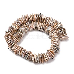 Natural Baroque Keshi Pearl Beads Strands&nbsp;PEAR-S018-05D-01