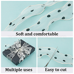 25M Polyester Organza Ribbons&nbsp;SRIB-CY0001-36D
