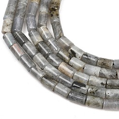 Natural Labradorite Beads Strands&nbsp;G-F832-B10-01