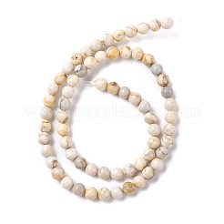 Natural HuBei Turquoise Beads Strands&nbsp;G-K317-A08-03