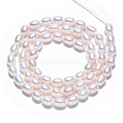 Natural Cultured Freshwater Pearl Beads Strands&nbsp;PEAR-N012-04J
