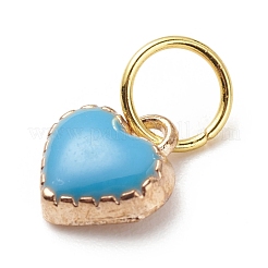 Alloy Enamel Charms&nbsp;PALLOY-JF01770