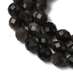 Natural Silver Sheen Obsidian Beads Strands&nbsp;G-K376-F12-01
