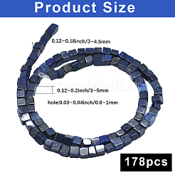 2 Strands Natural Lapis Lazuli Beads Strands&nbsp;G-PA0001-78