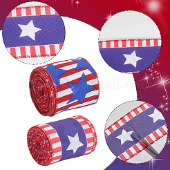 2Rolls 2 Colors Independence Day Themes Polyester Ribbon&nbsp;OCOR-CY0001-75B