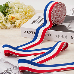 4.7 Yards Flat Nylon Striped Elastic Band&nbsp;OCOR-GF0003-84C