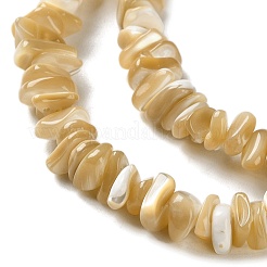 Natural Trochus Shell Beads Strands&nbsp;SHEL-G020-01