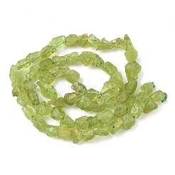 Raw Rough Natural Peridot Beads Strands&nbsp;G-M453-C02