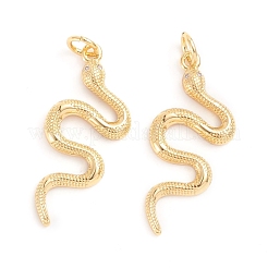 Brass Micro Pave Cubic Zirconia Pendants&nbsp;ZIRC-E164-24G