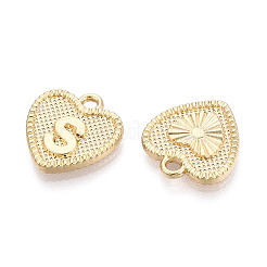 Alloy Pendants&nbsp;PALLOY-N157-001S-NR