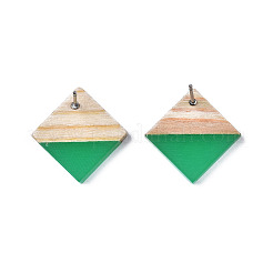 Opaque Resin & Wood Stud Earrings&nbsp;LS-EJEW-N017-005A-B02