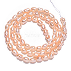 Natural Cultured Freshwater Pearl Beads Strands&nbsp;PEAR-N012-03M